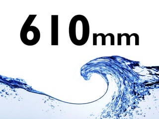 610mm
 