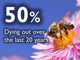 50%
Dying out over
the last 20 years
 