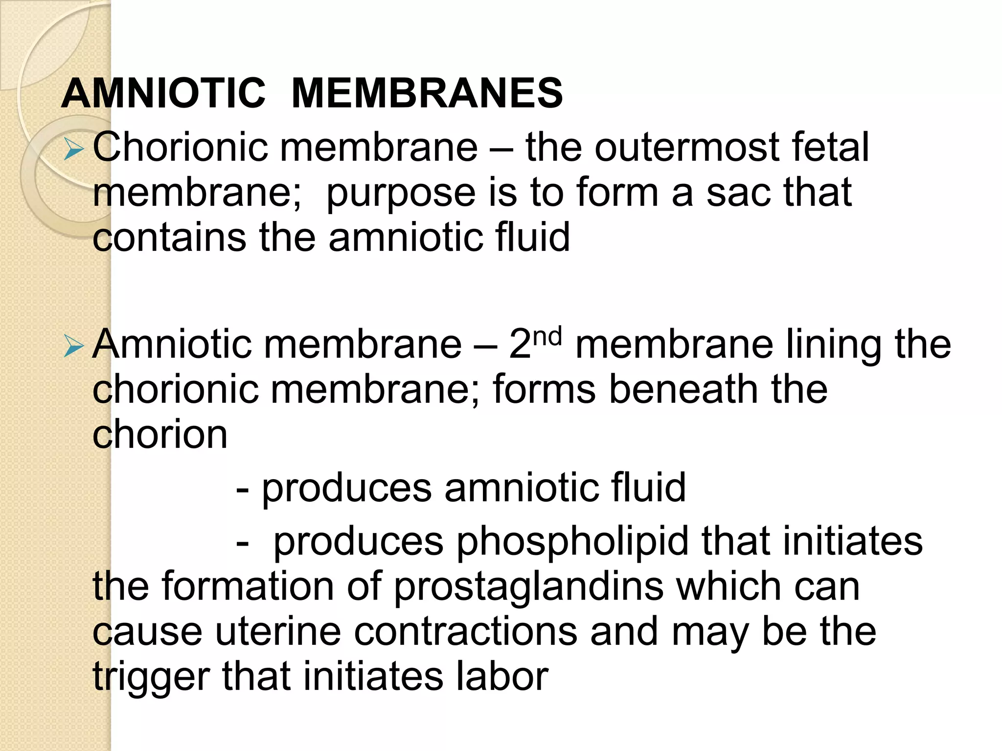 Secretes endocrine hormones (syncytial cells)