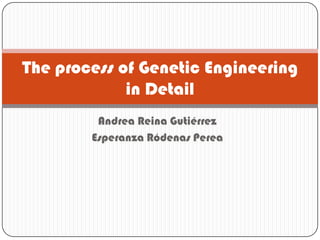 The process of Genetic Engineering
             in Detail
         Andrea Reina Gutiérrez
        Esperanza Ródenas Perea
 