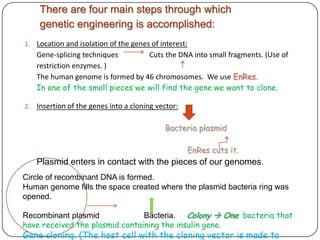 The process of genetic engineering in detail | PPTX