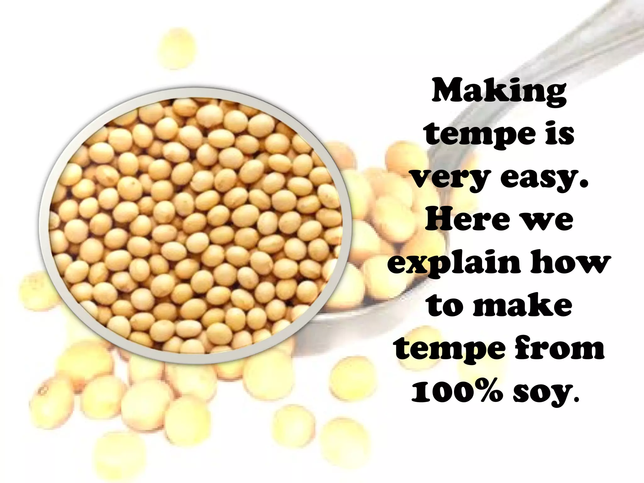 The process of making tempe by Pangestu Chaesar PPT