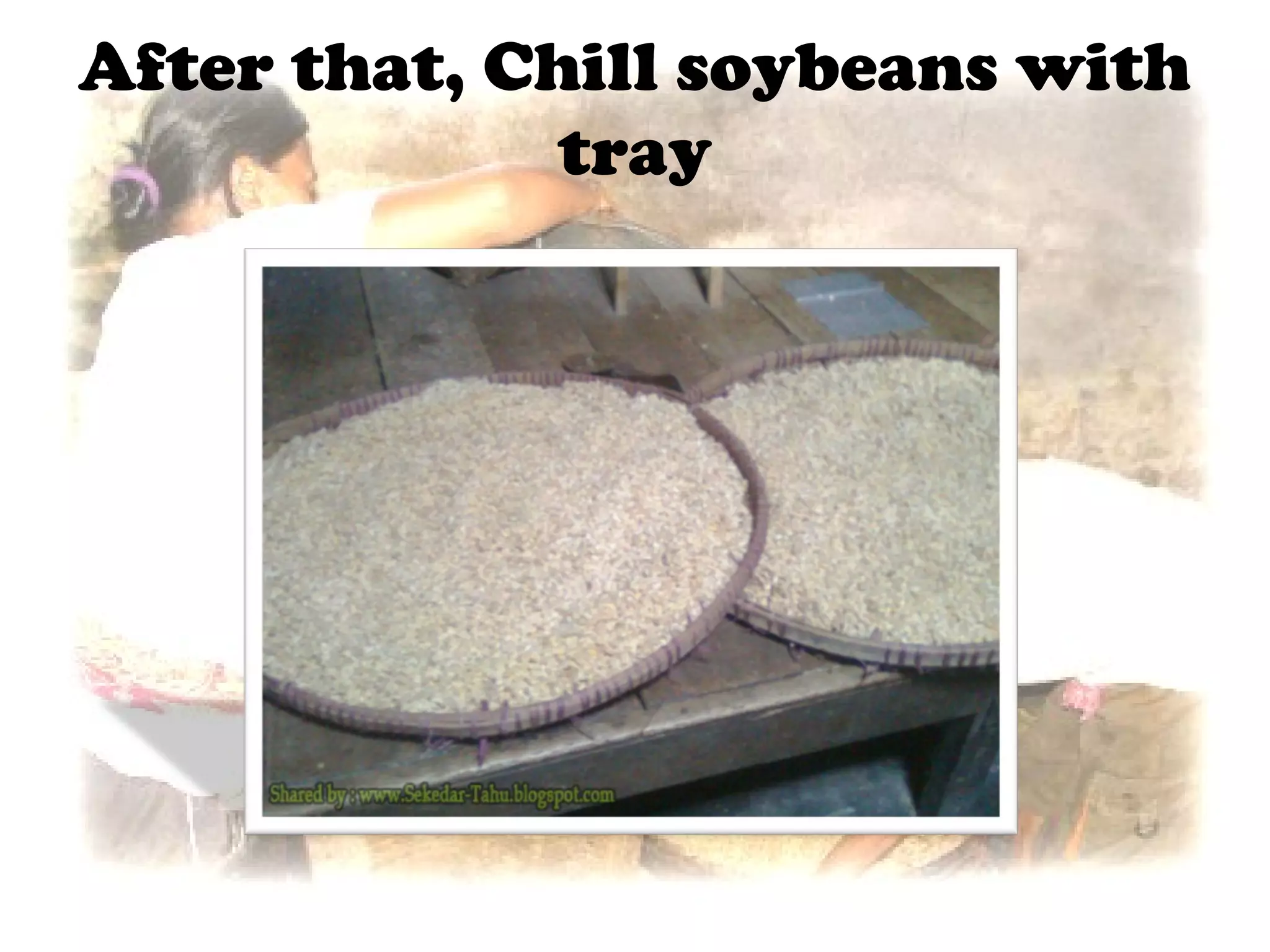 The process of making tempe by Pangestu Chaesar PPT