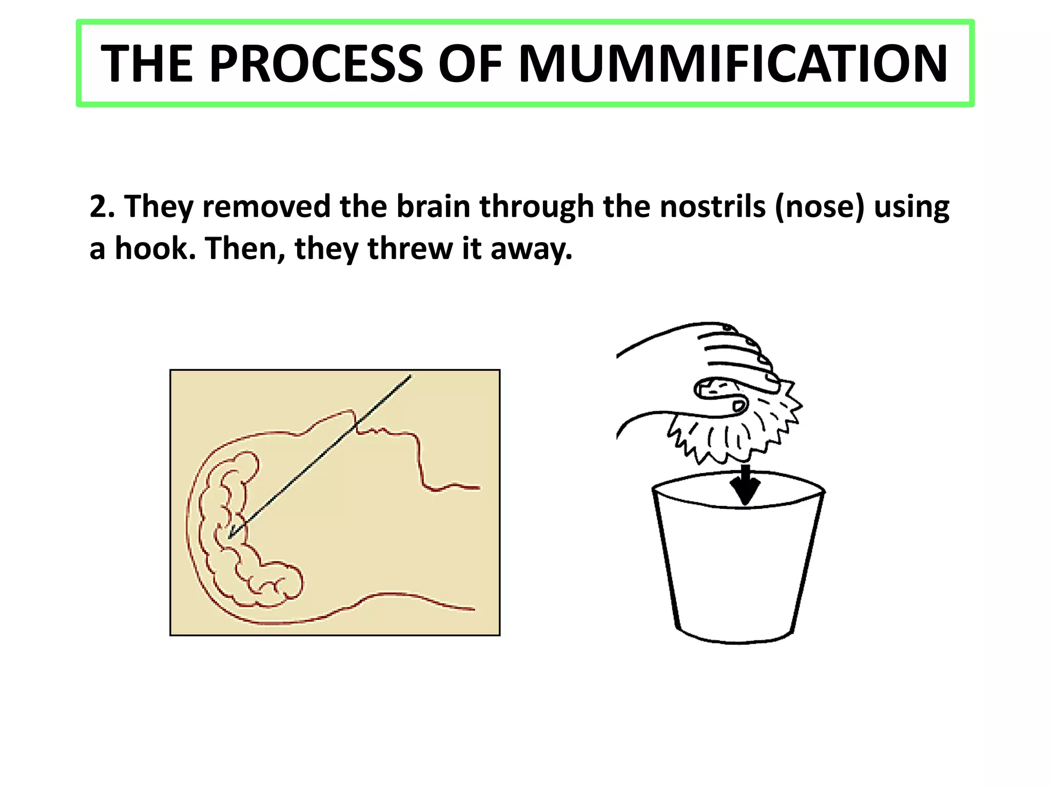 THE PROCESS OF MUMMIFICATION
2. They removed the brain through the nostrils (nose) using
a hook. Then, they threw it away.
 