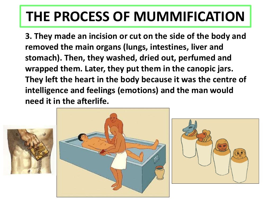 The Process Of Mummification