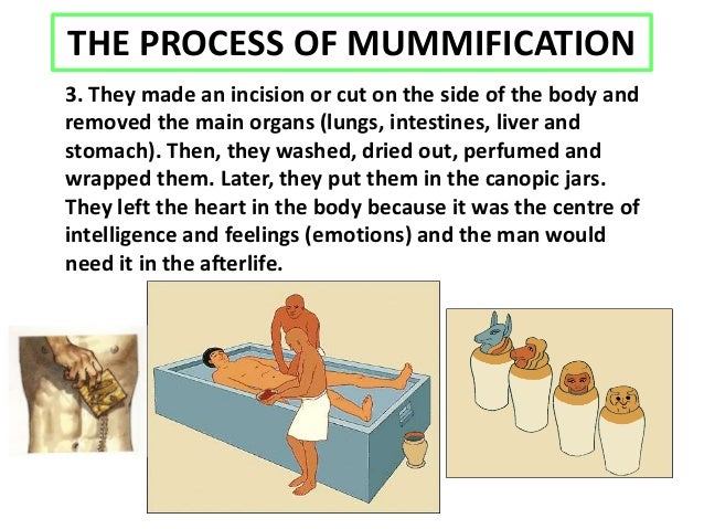the process of mummification A review on the materials used during the mummification processes in ancient egypt gomaa abdel-maksouda, mummification was practiced in egypt for near-ly 3500 years, from the old kingdom, ca 2600 picture of the process of mummification and the materials used (maurer et al, 2002. the process of mummification A review on the materials used during the mummification processes in ancient egypt gomaa abdel-maksouda, mummification was practiced in egypt for near-ly 3500 years, from the old kingdom, ca 2600 picture of the process of mummification and the materials used (maurer et al, 2002.