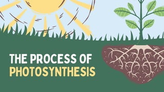 The Process of Photosynthesis Education Presentation in Green Style.pdf