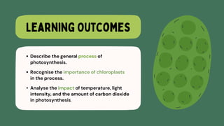 The Process of Photosynthesis Education Presentation .pdf