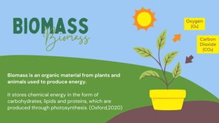The Process of Photosynthesis Education Presentation .pdf