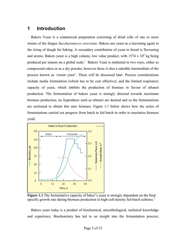 Production and DSP of Bakers Yeast