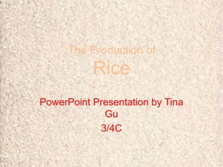 The Production of
Rice
PowerPoint Presentation by Tina
Gu
3/4C
 