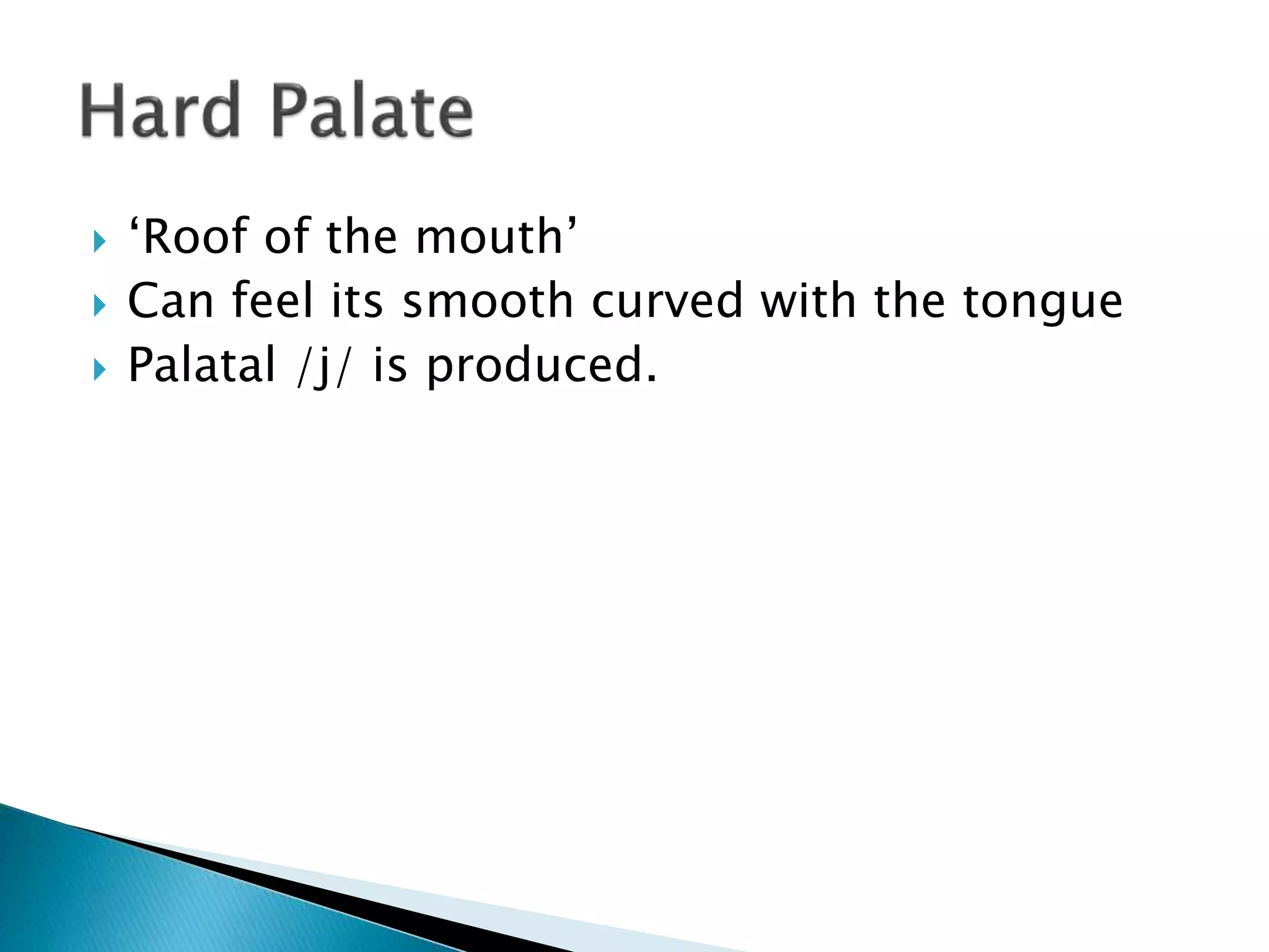  ‘Roof of the mouth’
 Can feel its smooth curved with the tongue
 Palatal /j/ is produced.
 