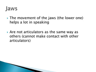 The movement of the jaws (the lower one)
helps a lot in speaking
 Are not articulators as the same way as
others (cannot make contact with other
articulators)
 