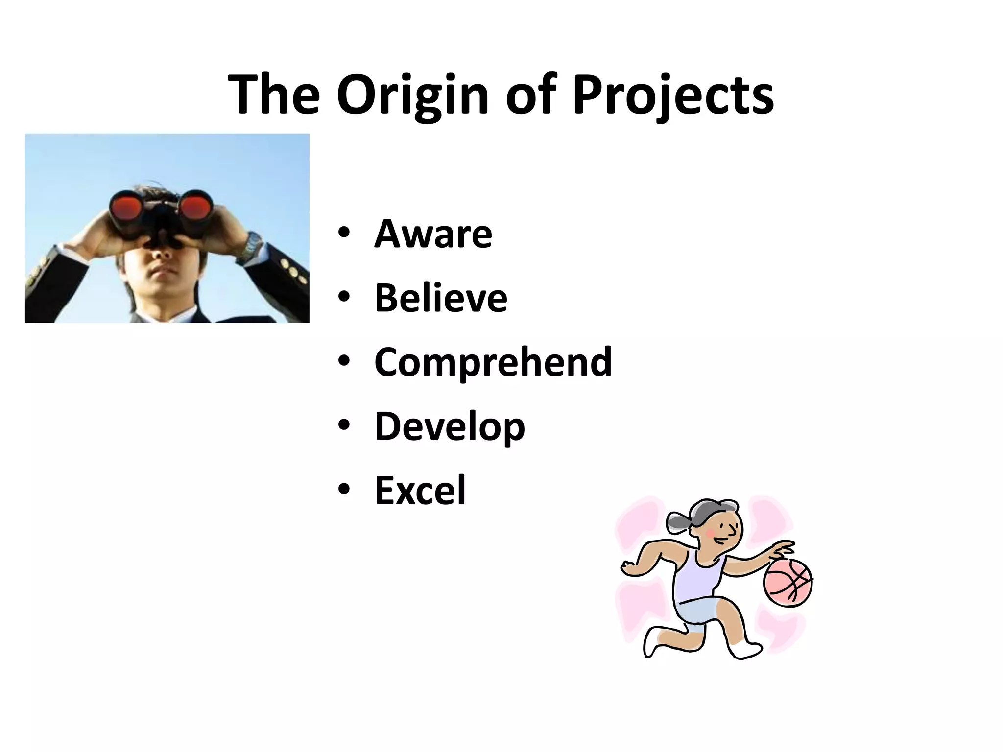 The Origin of Projects
• Aware
• Believe
• Comprehend
• Develop
• Excel
 
