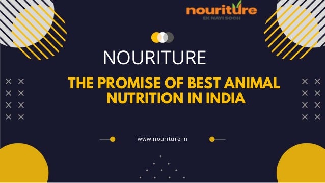 NOURITURE
THE PROMISE OF BEST ANIMAL
NUTRITION IN INDIA
www.nouriture.in
 