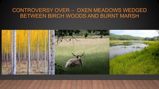CONTROVERSY OVER – OXEN MEADOWS WEDGED
BETWEEN BIRCH WOODS AND BURNT MARSH
 