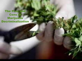 The Pros and
Cons of
Marijuana
Decriminalization
 