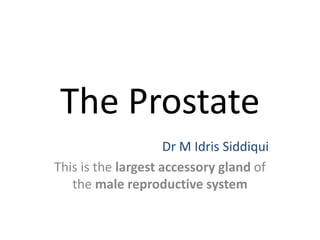 The Prostate
Dr M Idris Siddiqui
This is the largest accessory gland of
the male reproductive system
 