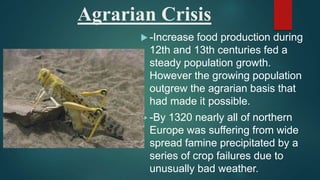 Agrarian Crisis
 -Increase food production during
12th and 13th centuries fed a
steady population growth.
However the growing population
outgrew the agrarian basis that
had made it possible.
 -By 1320 nearly all of northern
Europe was suffering from wide
spread famine precipitated by a
series of crop failures due to
unusually bad weather.
 