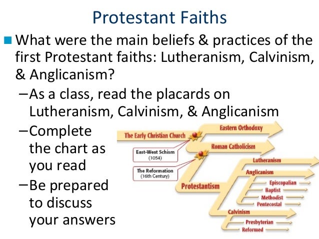 Lutheranism Calvinism Anglicanism Chart