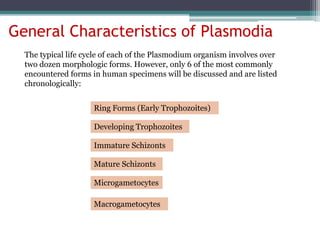 General Characteristics of Plasmodia
  The typical life cycle of each of the Plasmodium organism involves over
  two dozen morphologic forms. However, only 6 of the most commonly
  encountered forms in human specimens will be discussed and are listed
  chronologically:


                     Ring Forms (Early Trophozoites)

                     Developing Trophozoites

                     Immature Schizonts

                     Mature Schizonts

                     Microgametocytes

                     Macrogametocytes
 