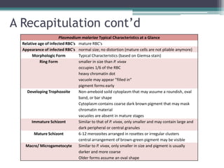 A Recapitulation cont’d
                       Plasmodium malariae Typical Characteristics at a Glance
  Relative age of infected RBC's mature RBC's
  Appearance of infected RBC's normal size; no distortion (mature cells are not pliable anymore)
       Morphologic Form          Typical Characteristics (based on Giemsa stain)
            Ring Form            smaller in size than P. vivax
                                 occupies 1/6 of the RBC
                                 heavy chromatin dot
                                 vacuole may appear "filled in"
                                 pigment forms early
    Developing Trophozoite       Non-ameboid soild cytoplasm that may assume a roundish, oval
                                 band, or bar shape
                                 Cytoplasm contains coarse dark brown pigment that may mask
                                 chromatin material
                                 vacuoles are absent in mature stages
       Immature Schizont         Similar to that of P. vivax, only smaller and may contain large and
                                 dark peripheral or central granules
         Mature Schizont         6-12 merozoites arranged in rosettes or irregular clusters
                                 central arrangement of brown-green pigment may be visible
   Macro/ Microgametocyte        Similar to P. vivax, only smaller in size and pigment is usually
                                 darker and more coarse
                                 Older forms assume an oval shape
 
