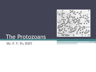 The Protozoans
Mr. F. V. Po, RMT
 
