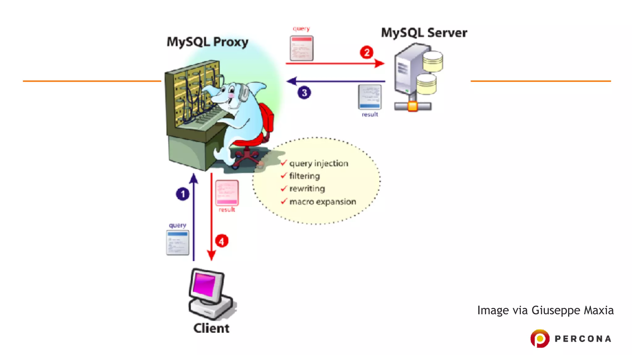 Image via Giuseppe Maxia 