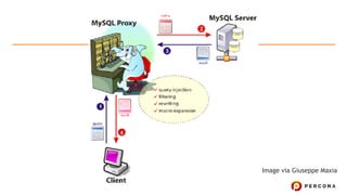 Image via Giuseppe Maxia
 