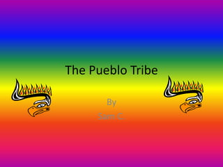 The Pueblo Tribe

       By
     Sam C.
 