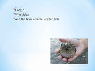 *Google
*Wikepidea
*And the book aniamals called fish
 