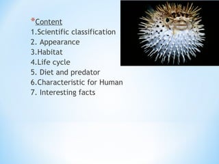 *Content
1.Scientific classification
2. Appearance
3.Habitat
4.Life cycle
5. Diet and predator
6.Characteristic for Human
7. Interesting facts
 