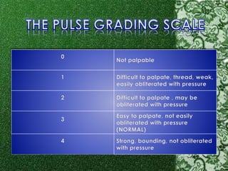 Dtr Grading Scale | Physiology, Deep Tendon Reflexes – TBNSTF
