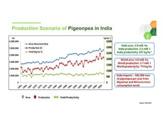 The Pulse of Pulses: Story of Pigeonpea