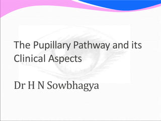 The Pupillary Pathway and its
Clinical Aspects
Dr H N Sowbhagya
 