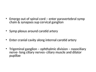 • Emerge out of spinal cord – enter paravertebral symp
chain & synapses sup cervical ganglion
• Symp plexus around carotid artery
• Enter cranial cavity along internal carotid artery
• Trigeminal ganglion – ophthalmic division – nasociliary
nerve- long ciliary nerves- ciliary muscle and dilator
pupillae
 