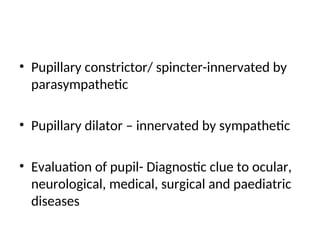 • Pupillary constrictor/ spincter-innervated by
parasympathetic
• Pupillary dilator – innervated by sympathetic
• Evaluation of pupil- Diagnostic clue to ocular,
neurological, medical, surgical and paediatric
diseases
 