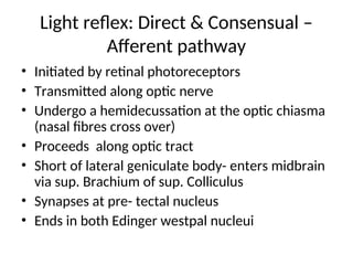 Light reflex: Direct & Consensual –
Afferent pathway
• Initiated by retinal photoreceptors
• Transmitted along optic nerve
• Undergo a hemidecussation at the optic chiasma
(nasal fibres cross over)
• Proceeds along optic tract
• Short of lateral geniculate body- enters midbrain
via sup. Brachium of sup. Colliculus
• Synapses at pre- tectal nucleus
• Ends in both Edinger westpal nucleui
 