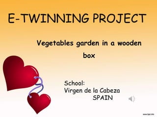 E-TWINNING PROJECT
Vegetables garden in a wooden
box
School:
Virgen de la Cabeza
SPAIN
 