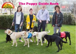 The Puppy Guide Book
 