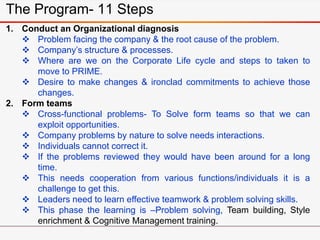 The Program- 11 Steps
1. Conduct an Organizational diagnosis
 Problem facing the company & the root cause of the problem....