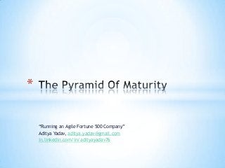 *
“Running an Agile Fortune 500 Company”
Aditya Yadav, aditya.yadav@gmail.com
in.linkedin.com/in/adityayadav76

 