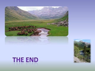 The Pyrenees climate