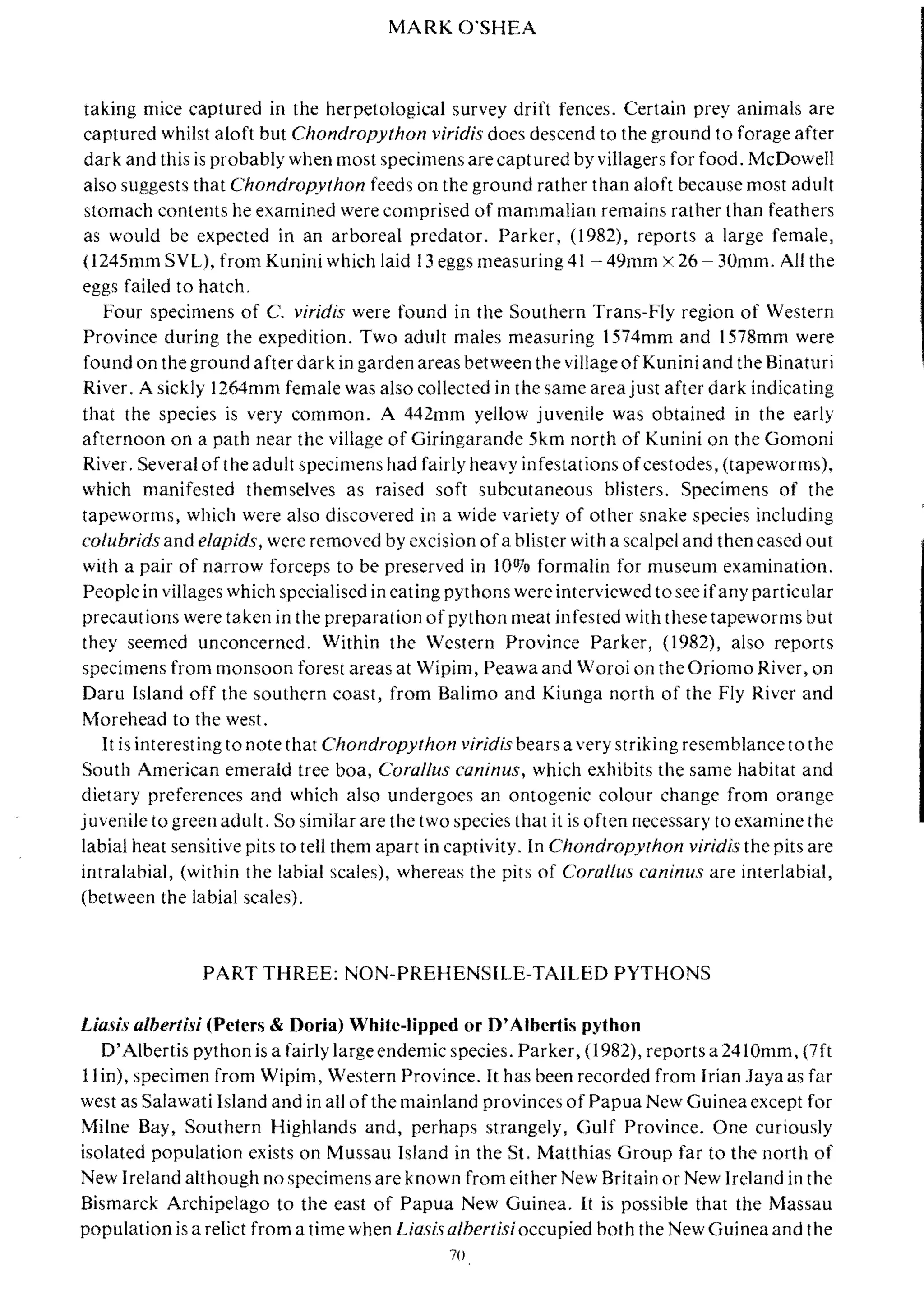 MARK O'SHEA
taking mice captured in the herpetological survey drift fences. Certain prey animals are
captured whilst aloft but Chondropython viridis does descend to the ground to forage after
dark and this is probably when most specimens are captured by villagers for food. McDowell
also suggests that Chondropython feeds on the ground rather than aloft because most adult
stomach contents he examined were comprised of mammalian remains rather than feathers
as would be expected in an arboreal predator. Parker, (1982), reports a large female,
(l245mm SVL), from Kunini which laid 13 eggs measuring 41 - 49mm x 26 - 30mm. All the
eggs failed to hatch.
Four specimens of C. viridis were found in the Southern Trans-Fly region of Western
Province during the expedition. Two adult males measuring 1574mm and 1578mm were
found on the ground after dark in garden areas between the village ofKunini and the Binaturi
River, A sickly 1264mm female was also collected in the same area just after dark indicating
that the species is very common. A 442mm yellow juvenile was obtained in the early
afternoon on a path near the village of Giringarande 5km north of Kunini on the Gomoni
River. Several of the adult specimens had fairly heavy infestations ofcestodes, (tapeworms),
which manifested themselves as raised soft subcutaneous blisters. Specimens of the
tapeworms, which were also discovered in a wide variety of other snake species including
colubrids and elapids, were removed by excision ofa blister with a scalpel and then eased out
with a pair of narrow forceps to be preserved in 10070 formalin for museum examination.
People in villages which specialised in eating pythons were interviewed to see ifany particular
precautions were taken in the preparation of python meat infested with these tapeworms but
they seemed unconcerned. Within the Western Province Parker, (1982), also reports
specimens from monsoon forest areas at Wipim, Peawaand Woroi on theOriomo River, on
Daru Island off the southern coast, from Balimo and Kiunga north of the Fly River and
Morehead to the west.
It is interesting to note that Chondropython viridis bears a very striking resemblance to the
South American emerald tree boa, Coral/us caninus, which exhibits the same habitat and
dietary preferences and which also undergoes an ontogenic colour change from orange
juvenile to green adult. So similar are the two species that it is often necessary to examine the
labial heat sensitive pits to tell them apart in captivity. In Chondropylhon viridis the pits are
intralabial, (within the labial scales), whereas the pits of Corallus caninus are interlabial,
(between the labial scales).
PART THREE: NON-PREHENSILE-TAILED PYTHONS
Liasis albertisi (Peters & Doria) White-lipped or 0'Albertis python
D'Albertis python is a fairly large endemic species. Parker, (1982), reports a2410mm, (7ft
llin), specimen from Wipim, Western Province. It has been recorded from Irian Jaya as far
west as Salawati Island and in all of the mainland provinces of Papua New Guinea except for
Milne Bay, Southern Highlands and, perhaps strangely, Gulf Province. One curiously
isolated popUlation exists on Mussau Island in the St. Matthias Group far to the north of
New Ireland although no specimens are known from either New Britain or New Ireland in the
Bismarck Archipelago to the east of Papua New Guinea. It is possible that the Massau
population is a relict from a time when Liasisalbertisioccupied both the New Guinea and the
70
 