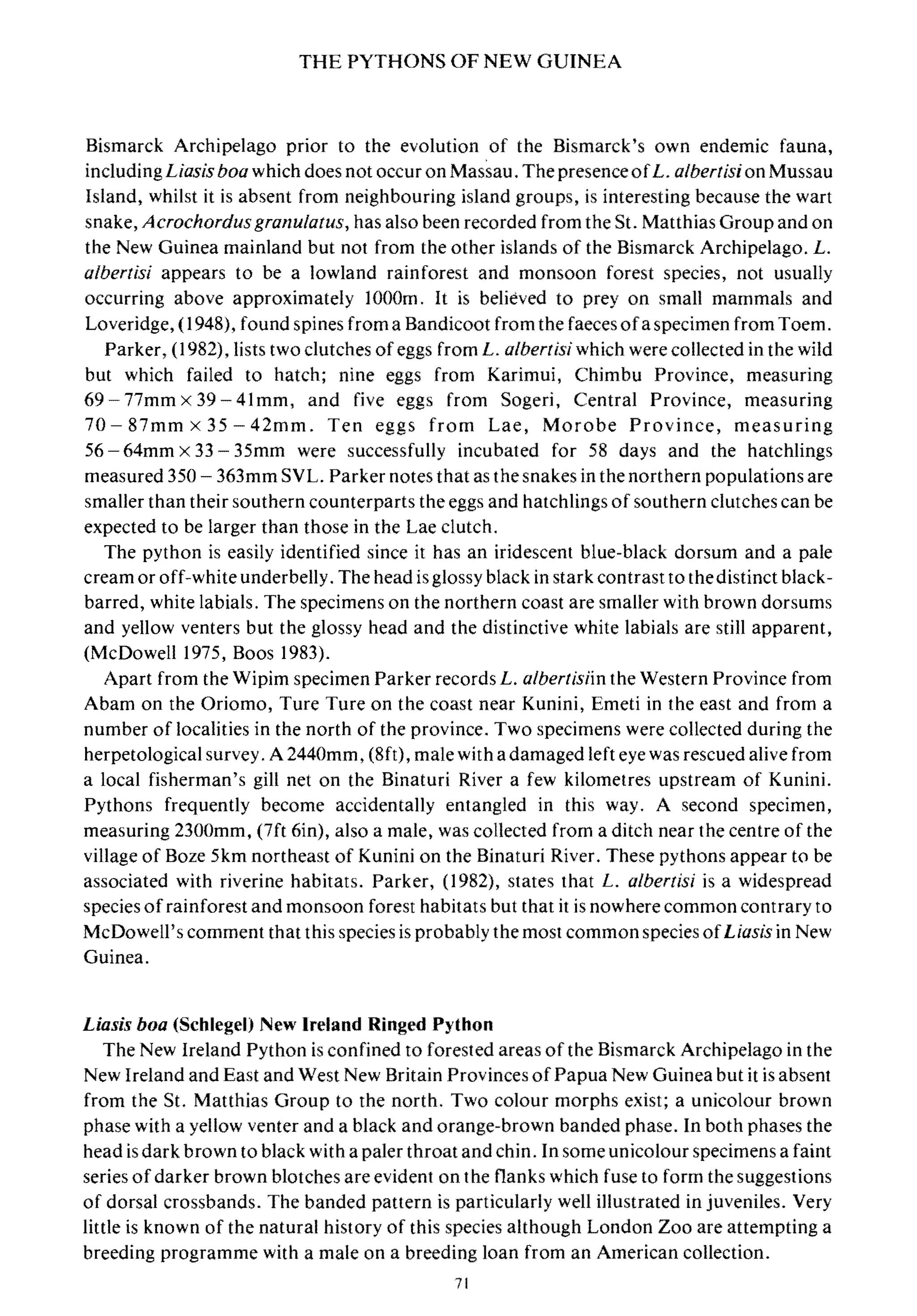 THE PYTHONS OF NEW GUINEA
Bismarck Archipelago prior to the evolution of the Bismarck's own endemic fauna,
including Liasisboa which does not occur on Massau. The presenceofL. albertision Mussau
Island, whilst it is absent from neighbouring island groups, is interesting because the wart
snake, Acrochordusgranulatus, has also been recorded from the 81. Matthias Group and on
the New Guinea mainland but not from the other islands of the Bismarck Archipelago. L.
albertisi appears to be a lowland rainforest and monsoon forest species, not usually
occurring above approximately 1000m. It is believed to prey on small mammals and
Loveridge, (1948), found spines from a Bandicoot from the faeces ofa specimen from Toem.
Parker, (1982), lists two clutches ofeggs from L. albertisiwhich were collected in the wild
but which failed to hatch; nine eggs from Karimui, Chimbu Province, measuring
69 -77mm x 39 - 41mm, and five eggs from 80geri, Central Province, measuring
70 - 87mm x 35 - 42mm. Ten eggs from Lae, Morobe Province, measuring
56 - 64mm x 33 - 35mm were successfully incubated for 58 days and the hatchlings
measured 350 - 363mm 8VL. Parker notes that as the snakes in the northern populations are
smaller than their southern counterparts the eggs and hatchlings of southern clutches can be
expected to be larger than those in the Lae clutch.
The python is easily identified since it has an iridescent blue-black dorsum and a pale
cream or off-white underbelly. The head is glossy black in stark contrast to the distinct black-
barred, white labials. The specimens on the northern coast are smaller with brown dorsums
and yellow venters but the glossy head and the distinctive white labials are still apparent,
(McDowell 1975, Boos 1983).
Apart from the Wipim specimen Parker records L. albertisiin the Western Province from
Abam on the Oriomo, Ture Ture on the coast near Kunini, Emeti in the east and from a
number of localities in the north of the province. Two specimens were collected during the
herpetological survey. A 2440mm, (8ft), male with a damaged left eye was rescued alive from
a local fisherman's gill net on the Binaturi River a few kilometres upstream of Kunini.
Pythons frequently become accidentally entangled in this way. A second specimen,
measuring 2300mm, (7ft 6in), also a male, was collected from a ditch near the centre of the
village of Boze 5km northeast of Kunini on the Binaturi River. These pythons appear to be
associated with riverine habitats. Parker, (1982), states that L. albertisi is a widespread
species of rainforest and monsoon forest habitats but that it is nowhere common contrary to
McDowell's comment that this species is probably the most common species ofLiasis in New
Guinea.
Liasis boa (Schlegel) New Ireland Ringed Python
The New Ireland Python is confined to forested areas of the Bismarck Archipelago in the
New Ireland and East and West New Britain Provinces of Papua New Guinea but it is absent
from the 81. Matthias Group to the north. Two colour morphs exist; a unicolour brown
phase with a yellow venter and a black and orange-brown banded phase. In both phases the
head is dark brown to black with a paler throat and chin. In some unicolour specimens a faint
series ofdarker brown blotches are evident on the flanks which fuse to form the suggestions
of dorsal crossbands. The banded pattern is particularly well illustrated in juveniles. Very
little is known of the natural history of this species although London Zoo are attempting a
breeding programme with a male on a breeding loan from an American collection.
71
 