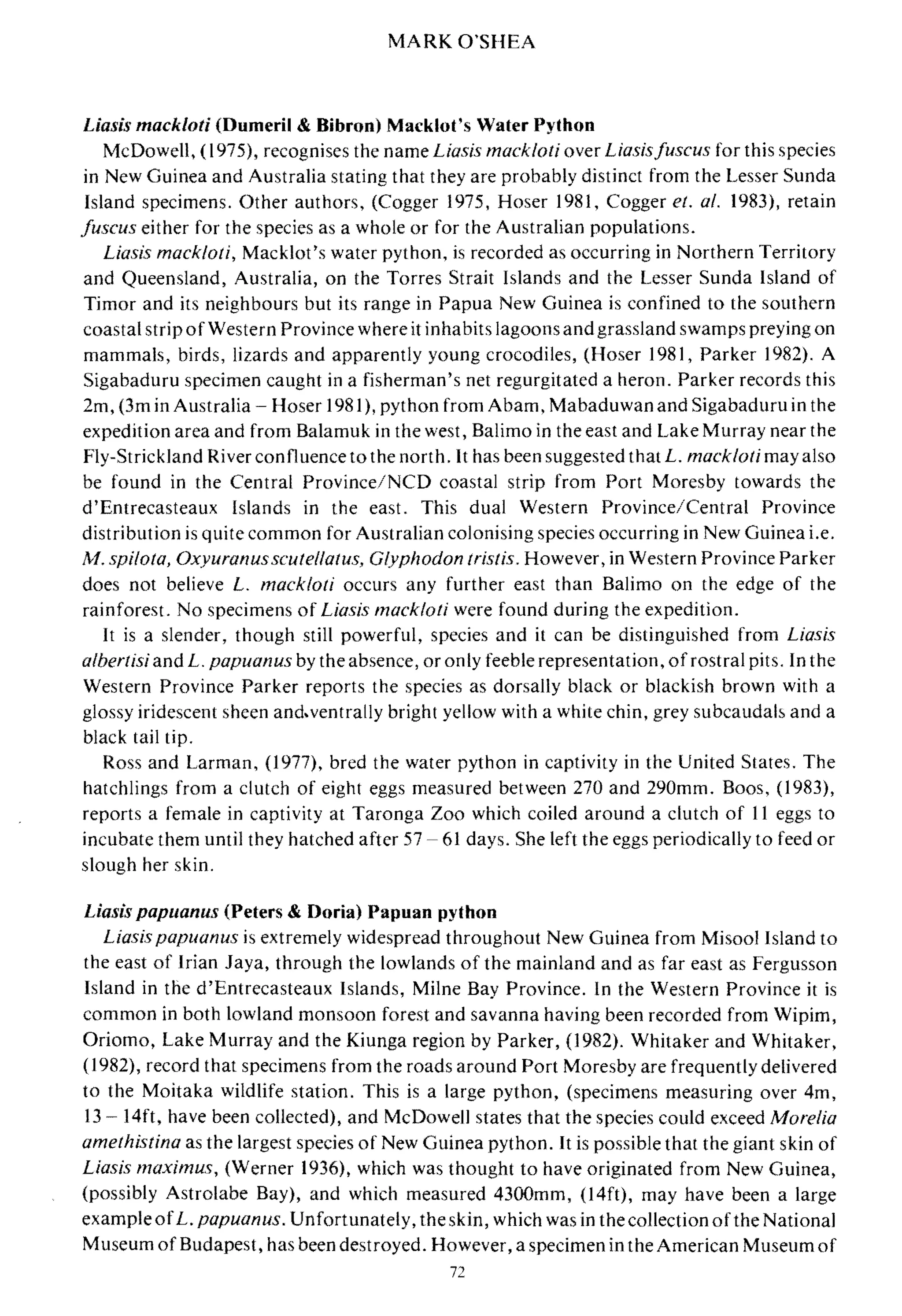 MARK O'SHEA
Liasis mackloti (Dumeril & Bibron) Macklot's Water Python
McDowell, (1975), recognises the name Liasis mack/oli over LiasisJuscus for this species
in New Guinea and Australia stating that they are probably distinct from the Lesser Sunda
Island specimens. Other authors, (Cogger 1975, Hoser 1981, Cogger et. al. 1983), retain
Juscus either for the species as a whole or for the Australian populations.
Liasis mack/ati, Macklot's water python, is recorded as occurring in Northern Territory
and Queensland, Australia, on the Torres Strait Islands and the Lesser Sunda Island of
Timor and its neighbours but its range in Papua New Guinea is confined to the southern
coastal strip of Western Province where it inhabits lagoons and grassland swamps preying on
mammals, birds, lizards and apparently young crocodiles, (Hoser 1981, Parker 1982). A
Sigabaduru specimen caught in a fisherman's net regurgitated a heron. Parker records this
2m, (3m in Australia - Hoser (981), python from Abam, Mabaduwanand Sigabaduruin the
expedition area and from Balamuk in the west, Balimo in the east and Lake Murray near the
Fly-Strickland River confluence to the north. It has been suggested that L. mack/oli may also
be found in the Central Province/NCO coastal strip from Port Moresby towards the
d'Entrecasteaux Islands in the east. This dual Western Province/Central Province
distribution is quite common for Australian colonising species occurring in New Guinea i.e.
M. spilata, Oxyuranusscutellatus, Glyphodon tristis. However, in Western Province Parker
does not believe L. mack/ati occurs any further east than Balimo on the edge of the
rainforest. No specimens of Liasis macklali were found during the expedition.
It is a slender, though still powerful, species and it can be distinguished from Liasis
a/bertisi and L. papuanus by the absence, or only feeble representation, of rostral pits. In the
Western Province Parker reports the species as dorsally black or blackish brown with a
glossy iridescent sheen and.ventrally bright yellow with a white chin, grey subcaudal:> and a
black tail tip.
Ross and Larman, (1977), brcd the water python in captivity in the United States. The
hatchlings from a clutch of eight eggs measured between 270 and 290mm. Boos, (1983),
reports a female in captivity at Taronga Zoo which coiled around a clutch of II eggs to
incubate them until they hatched after 57 61 days. She left the eggs periodically to feed or
slough her skin.
Liasis papuanus (Peters & Doria) Papuan python
Liasis papuanus is extremely widespread throughout New Guinea from Misool Island to
the east of Irian Jaya, through the lowlands of the mainland and as far east as Fergusson
Island in the d'Entrecasteaux Islands, Milne Bay Province. In the Western Province it is
common in both lowland monsoon forest and savanna having been recorded from Wipim,
Oriomo, Lake Murray and the Kiunga region by Parker, (1982). Whitaker and Whitaker,
(1982), record that specimens from the roads around Port Moresby are frequently delivered
to the Moitaka wildlife station. This is a large python, (specimens measuring over 4m,
13 14ft, have been collected), and McDowell states that the species could exceed Morelia
amethistina as the largest species of New Guinea python. It is possible that the giant skin of
Liasis maximus, (Werner 1936), which was thought to have originated from New Guinea,
(possibly Astrolabe Bay), and which measured 4300mm, (14ft), may have been a large
exampleofL. papuanus. Unfortunately, the skin, which was in the collection ofthe National
Museum of Budapest, has been destroyed. However, a specimen in the American Museum of
72
 