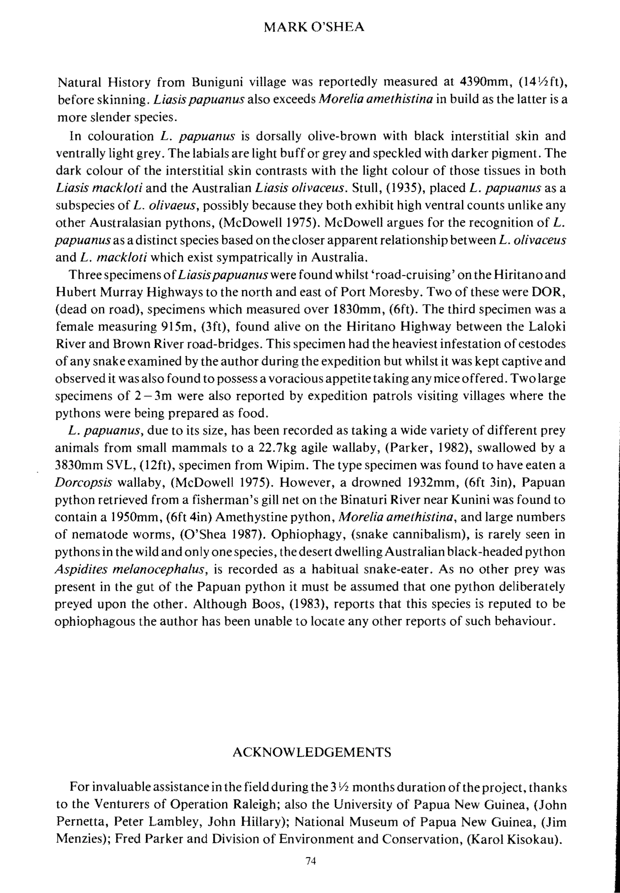 MARK O'SHEA
Natural History from Buniguni village was reportedly measured at 4390mm, (l4Ihft),
before skinning. Liasis papuanus also exceeds More/ia amethistina in build as the latter is a
more slender species.
In colouration L. papuanus is dorsally olive-brown with black interstitial skin and
ventrally light grey. The labials are light buffor grey and speckled with darker pigment. The
dark colour of the interstitial skin contrasts with the light colour of those tissues in both
Liasis mack/oti and the Australian Liasis o/ivaceus. Stull, (1935), placed L. papuanus as a
subspecies of L. olivaeus, possibly because they both exhibit high ventral counts unlike any
other Australasian pythons, (McDowell 1975). McDowell argues for the recognition of L.
papuanus as a distinct species based on the closer apparent relationship between L. o/ivaceus
and L. mack/oti which exist sympatrically in Australia.
Three specimens ofLiasispapuanuswere found whilst 'road-cruising' on the Hiritanoand
Hubert Murray Highways to the north and east of Port Moresby. Two of these were DOR,
(dead on road), specimens which measured over 1830mm, (6ft). The third specimen was a
female measuring 915m, (3ft), found alive on the Hiritano Highway between the Laloki
River and Brown River road-bridges. This specimen had the heaviest infestation ofcestodes
ofany snake examined by the author during the expedition but whilst it was kept captive and
observed it was also found to possess a voracious appetite taking any mice offered. Twolarge
specimens of 2 3m were also reported by expedition patrols visiting villages where the
pythons were being prepared as food.
L. papuanus, due to its size, has been recorded as taking a wide variety of different prey
animals from small mammals to a 22.7kg agile wallaby, (Parker, 1982), swallowed by a
3830mm SVL, (12ft), specimen from Wipim. The type specimen was found to have eaten a
Dorcopsis wallaby, (McDowell 1975). However, a drowned 1932mm, (6ft 3in), Papuan
python retrieved from a fisherman's gill net on the Binaturi River near Kunini was found to
contain a 1950mm, (6ft 4in) Amethystine python, Morelia amethistina, and large numbers
of nematode worms, (O'Shea 1987). Ophiophagy, (snake cannibalism), is rarely seen in
pythons in the wild and only one species, the desert dwelling Australian black-headed python
Aspidites melanocepha/us, is recorded as a habitual snake-eater. As no other prey was
present in the gut of the Papuan python it must be assumed that one python deliberately
preyed upon the other. Although Boos, (1983), reports that this species is reputed to be
ophiophagous the author has been unable to locate any other reports of such behaviour.
ACKNOWLEDGEMENTS
For invaluable assistance in the field during the 31h months duration ofthe project, thanks
to the Venturers of Operation Raleigh; also the University of Papua New Guinea, (John
Pernetta, Peter Lambley, John Hillary); National Museum of Papua New Guinea, (Jim
Menzies); Fred Parker and Division of Environment and Conservation, (Karol Kisokau).
74
 