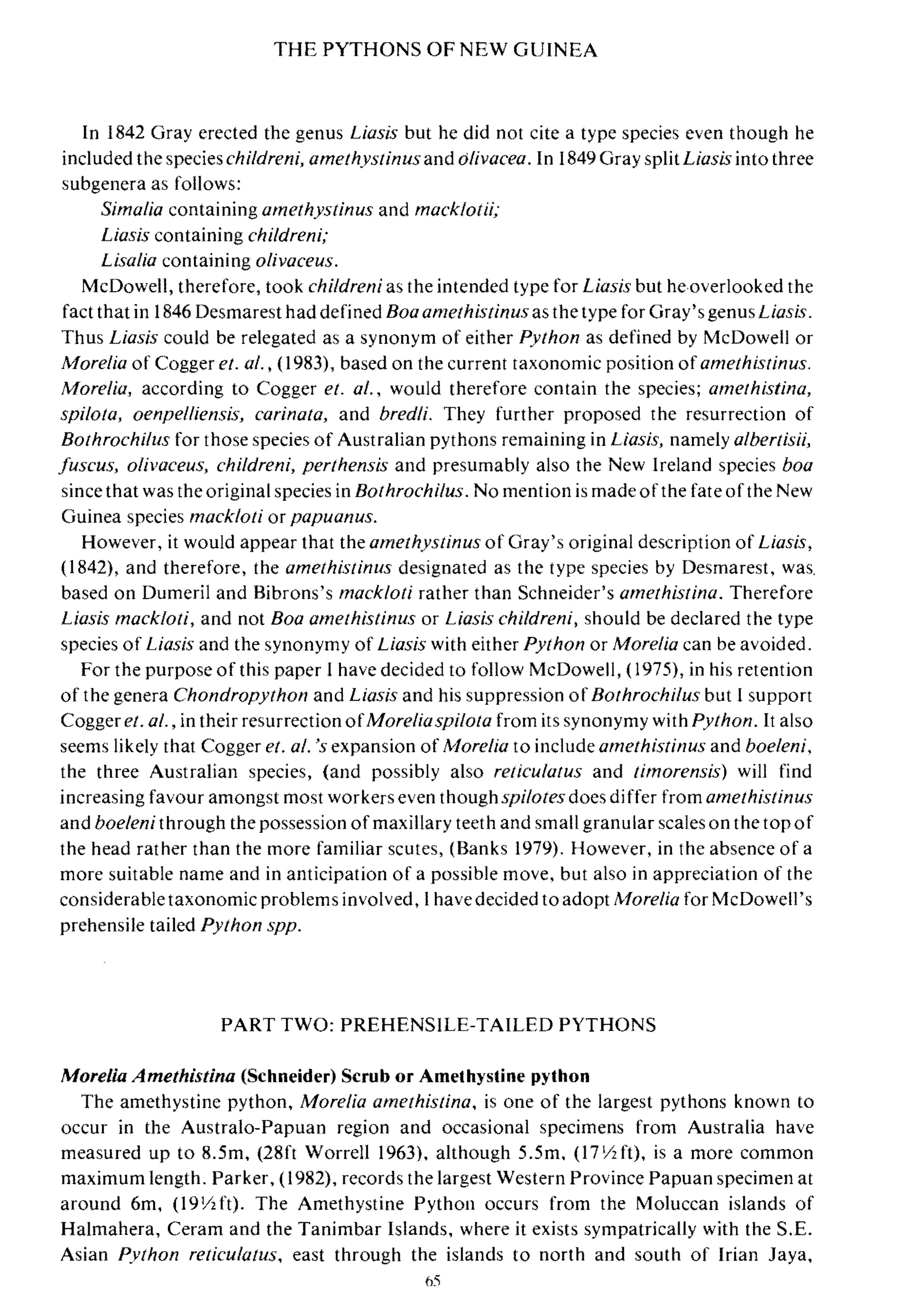 THE PYTHONS OF NEW GUINEA
In 1842 Gray erected the genus Liasis but he did not cite a type species even though he
included the species childreni, amethyslinusand d/ivacea. In 1849 Gray split Liasis into three
subgenera as follows:
Simalfa containing amethystinus and mack/olii;
Liasis containing chi/dreni;
Lisalia containing olivaceus.
McDowell, therefore, took childreni as the intended type for Liasis but he overlooked the
fact that in 1846 Desmarest had defined Boa amethistinus as the type for Gray's genus LiasLs.
Thus Liasis could be relegated as a synonym of either Python as defined by McDowell or
Morelia of Cogger et. al., (1983), based on the current taxonomic position of amethistinus.
Afore/ia, according to Cogger et. al., would therefore contain the species; amethistina,
spilota, oenpelliensis, carinata, and bred/i. They further proposed the resurrection of
Bothrochilus for those species of Australian pythons remaining in Liasis, namelyalbertisii,
fUscus, olivaceus, childreni, perthensis and presumably also the New Ireland species boa
since that was the original species in BOlhrochilus. No mention is made of the fate of the New
Guinea species mackloti or papuanus.
However, it would appear that the amethystinus of Gray's original description of Liasis,
(1842), and therefore, the amelhistinus designated as the type species by Desmarest, was.
based on Dumeril and Bibrons's mackloti rather than Schneider's amethistina. Therefore
Liasis mackloli, and not Boa amethistinus or Liasis childreni, should be declared the type
species of Liasis and the synonymy of Liasis with either Python or Morelia can be avoided.
For the purpose of this paper I have decided to follow McDowell, (1975), in his retention
of the genera Chondropython and Liasis and his suppression of Bothrochilus but I support
Cogger et. al., in their resurrection o fMoreliaspilota from its synonymy with Python. It also
seems likely that Cogger et. al. 's expansion of Morelia to include amethistinus and boeleni,
the three Australian species, (and possibly also reticulatus and timorensis) will find
increasing favour amongst most workers even thoughspilotes does differ from amethistinus
and boeteni through the possession of maxillary teeth and small granular scales on the top of
the head rather than the more familiar scutes, (Banks 1979). However, in the absence of a
more suitable name and in anticipation of a possible move, but also in appreciation of the
considerable taxonomic problems involved, I have decided to adopt Morelia for McDowell's
prehensile tailed Python spp.
PART TWO: PREHENSILE-TAILED PYTHONS
Morella Amethistina (Schneider) Scrub or Amethystine python
The amethystine python, Morelia amethistina, is one of the largest pythons known to
occur in the Australo-Papuan region and occasional specimens from Australia have
measured up to 8.5m. (28ft Worrell 1963). although 5.5m. (l7l1z ft). is a more common
maximum length. Parker. (1982). records the largest Western Province Papuan specimen at
around 6m. (19Y21't). The Amethystine Python occurs from the Moluccan islands of
Halmahera, Ceram and the Tanimbar Islands, where it exists sympatrically with the S.E.
Asian Python reticula/us. east through the islands to north and south of Irian Jaya.
65
 