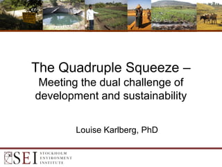 The Quadruple Squeeze –
Meeting the dual challenge of
development and sustainability
Louise Karlberg, PhD
 