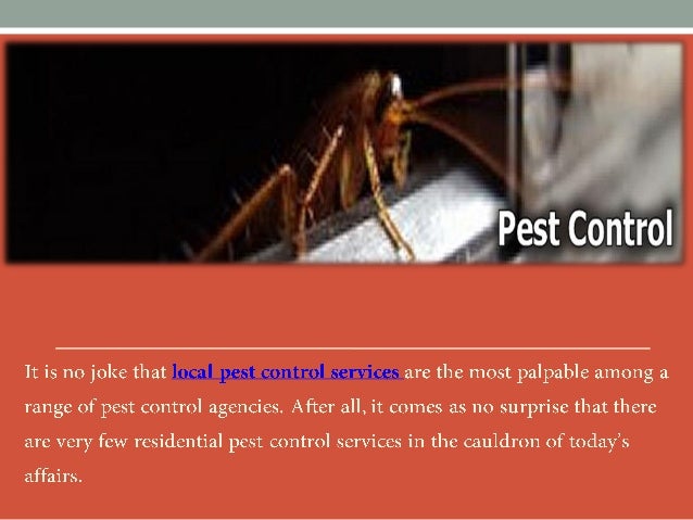 The qualities of an organized pest control company!